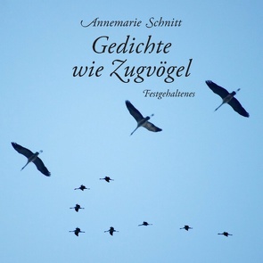 Gedichte wie Zugvögel von Schnitt,  Annemarie