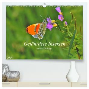 Gefährdete Insekten – unsere Nützlinge (hochwertiger Premium Wandkalender 2024 DIN A2 quer), Kunstdruck in Hochglanz von Thoss,  Michael