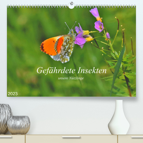 Gefährdete Insekten – unsere Nützlinge (Premium, hochwertiger DIN A2 Wandkalender 2023, Kunstdruck in Hochglanz) von Thoss,  Michael