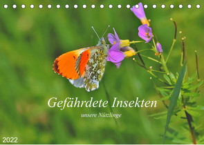 Gefährdete Insekten – unsere Nützlinge (Tischkalender 2022 DIN A5 quer) von Thoss,  Michael