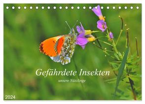 Gefährdete Insekten – unsere Nützlinge (Tischkalender 2024 DIN A5 quer), CALVENDO Monatskalender von Thoss,  Michael