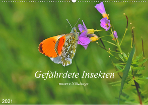 Gefährdete Insekten – unsere Nützlinge (Wandkalender 2021 DIN A2 quer) von Thoss,  Michael