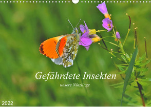 Gefährdete Insekten – unsere Nützlinge (Wandkalender 2022 DIN A3 quer) von Thoss,  Michael