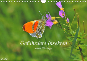 Gefährdete Insekten – unsere Nützlinge (Wandkalender 2022 DIN A4 quer) von Thoss,  Michael