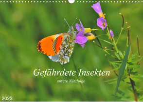 Gefährdete Insekten – unsere Nützlinge (Wandkalender 2023 DIN A3 quer) von Thoss,  Michael