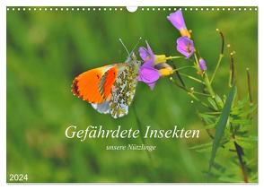 Gefährdete Insekten – unsere Nützlinge (Wandkalender 2024 DIN A3 quer), CALVENDO Monatskalender von Thoss,  Michael