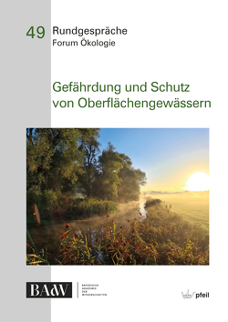 Gefährdung und Schutz von Oberflächengewässern von Bayerische Akademie der Wissenschaften