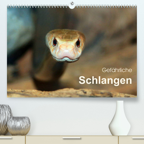 Gefährliche Schlangen (Premium, hochwertiger DIN A2 Wandkalender 2023, Kunstdruck in Hochglanz) von Herzog,  Michael