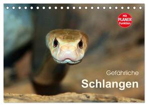 Gefährliche Schlangen (Tischkalender 2024 DIN A5 quer), CALVENDO Monatskalender von Herzog,  Michael