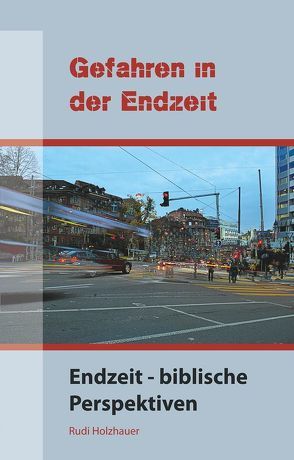 Gefahren in der Endzeit: Endzeit – biblische Perspektiven von Holzhauer,  Rudi