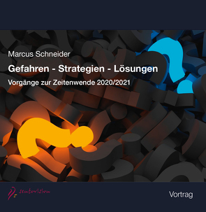 Gefahren – Strategien – Lösungen von Schneider,  Marcus