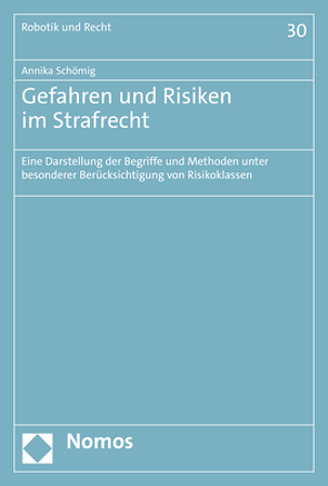 Gefahren und Risiken im Strafrecht von Schömig,  Annika