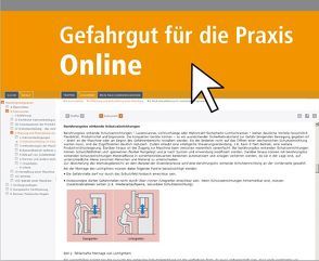 Gefahrgutrecht Online von Mann,  Ulrich, Scheffler,  Herbert