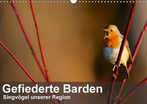 Gefiederte Barden – Singvögel unserer Region (Wandkalender 2018 DIN A3 quer) von Krebs,  Alexander