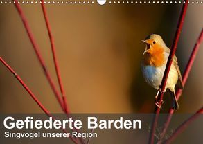 Gefiederte Barden – Singvögel unserer Region (Wandkalender 2019 DIN A3 quer) von Krebs,  Alexander