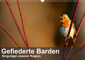 Gefiederte Barden – Singvögel unserer Region (Wandkalender 2020 DIN A3 quer) von Krebs,  Alexander