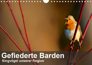 Gefiederte Barden – Singvögel unserer Region (Wandkalender 2020 DIN A4 quer) von Krebs,  Alexander