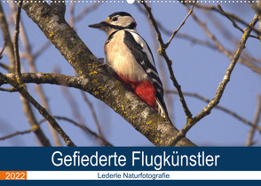 Gefiederte Flugkünstler (Wandkalender 2022 DIN A2 quer) von Andreas Lederle,  Kevin