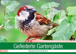 Gefiederte Gartengäste – Spatzenleben (Wandkalender 2019 DIN A2 quer) von Löwer,  Sabine