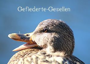 Gefiederte-Gesellen (Posterbuch DIN A2 quer) von Witkowski,  Bernd