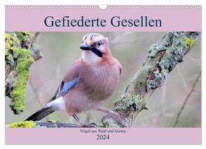 Gefiederte Gesellen – Vögel aus Wald und Garten (Wandkalender 2024 DIN A3 quer), CALVENDO Monatskalender von Klatt,  Arno
