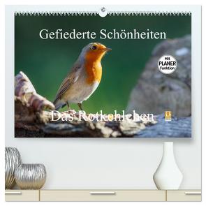 Gefiederte Schönheiten – Das Rotkehlchen / Planer (hochwertiger Premium Wandkalender 2024 DIN A2 quer), Kunstdruck in Hochglanz von Poetsch,  Rolf