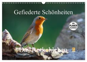 Gefiederte Schönheiten – Das Rotkehlchen / Planer (Wandkalender 2024 DIN A3 quer), CALVENDO Monatskalender von Poetsch,  Rolf