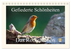 Gefiederte Schönheiten – Das Rotkehlchen (Tischkalender 2024 DIN A5 quer), CALVENDO Monatskalender von Poetsch,  Rolf