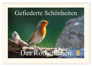 Gefiederte Schönheiten – Das Rotkehlchen (Wandkalender 2024 DIN A3 quer), CALVENDO Monatskalender von Poetsch,  Rolf