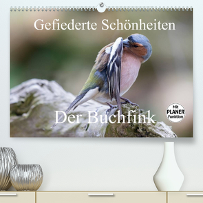 Gefiederte Schönheiten – Der Buchfink (Premium, hochwertiger DIN A2 Wandkalender 2022, Kunstdruck in Hochglanz) von Poetsch,  Rolf