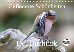 Gefiederte Schönheiten – Der Buchfink (Tischkalender 2021 DIN A5 quer) von Poetsch,  Rolf