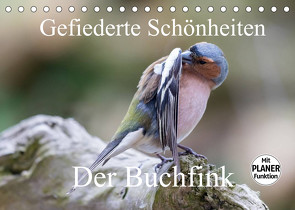 Gefiederte Schönheiten – Der Buchfink (Tischkalender 2022 DIN A5 quer) von Poetsch,  Rolf