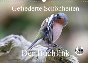 Gefiederte Schönheiten – Der Buchfink (Wandkalender 2022 DIN A3 quer) von Poetsch,  Rolf