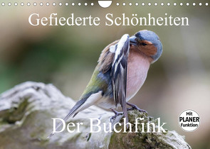 Gefiederte Schönheiten – Der Buchfink (Wandkalender 2022 DIN A4 quer) von Poetsch,  Rolf
