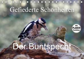 Gefiederte Schönheiten – Der Buntspecht (Tischkalender 2019 DIN A5 quer) von Poetsch,  Rolf