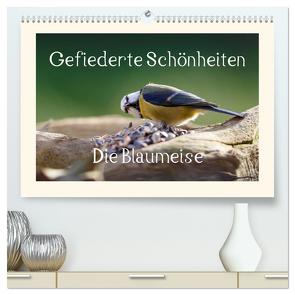 Gefiederte Schönheiten – Die Blaumeise (hochwertiger Premium Wandkalender 2024 DIN A2 quer), Kunstdruck in Hochglanz von Poetsch,  Rolf