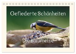 Gefiederte Schönheiten – Die Blaumeise (Tischkalender 2024 DIN A5 quer), CALVENDO Monatskalender von Poetsch,  Rolf