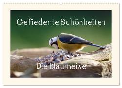 Gefiederte Schönheiten – Die Blaumeise (Wandkalender 2024 DIN A2 quer), CALVENDO Monatskalender von Poetsch,  Rolf