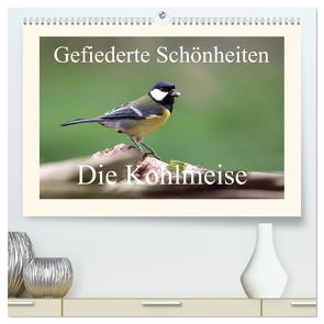 Gefiederte Schönheiten – Die Kohlmeise (hochwertiger Premium Wandkalender 2024 DIN A2 quer), Kunstdruck in Hochglanz von Poetsch,  Rolf