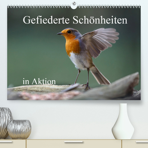 Gefiederte Schönheiten in Aktion (Premium, hochwertiger DIN A2 Wandkalender 2021, Kunstdruck in Hochglanz) von Poetsch,  Rolf