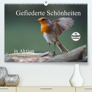 Gefiederte Schönheiten in Aktion (Premium, hochwertiger DIN A2 Wandkalender 2022, Kunstdruck in Hochglanz) von Poetsch,  Rolf