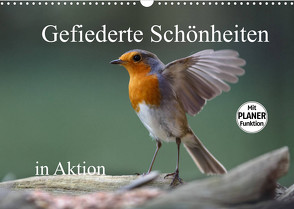 Gefiederte Schönheiten in Aktion (Wandkalender 2022 DIN A3 quer) von Poetsch,  Rolf