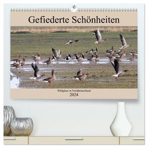 Gefiederte Schönheiten – Wildgänse in Norddeutschland (hochwertiger Premium Wandkalender 2024 DIN A2 quer), Kunstdruck in Hochglanz von Poetsch,  Rolf