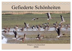 Gefiederte Schönheiten – Wildgänse in Norddeutschland (Tischkalender 2024 DIN A5 quer), CALVENDO Monatskalender von Poetsch,  Rolf