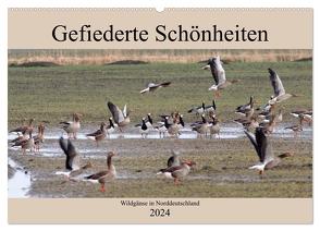 Gefiederte Schönheiten – Wildgänse in Norddeutschland (Wandkalender 2024 DIN A2 quer), CALVENDO Monatskalender von Poetsch,  Rolf