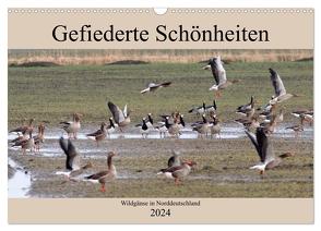Gefiederte Schönheiten – Wildgänse in Norddeutschland (Wandkalender 2024 DIN A3 quer), CALVENDO Monatskalender von Poetsch,  Rolf