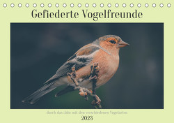 Gefiederte Vogelfreunde (Tischkalender 2023 DIN A5 quer) von Sperber,  Simone