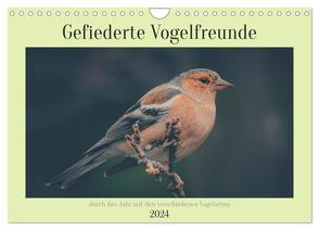 Gefiederte Vogelfreunde (Wandkalender 2024 DIN A4 quer), CALVENDO Monatskalender von Sperber,  Simone