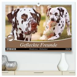 Gefleckte Freunde – Hunderasse Dalmatiner (hochwertiger Premium Wandkalender 2024 DIN A2 quer), Kunstdruck in Hochglanz von Mielewczyk,  Barbara