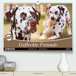 Gefleckte Freunde – Hunderasse Dalmatiner (Premium, hochwertiger DIN A2 Wandkalender 2023, Kunstdruck in Hochglanz) von Mielewczyk,  Barbara